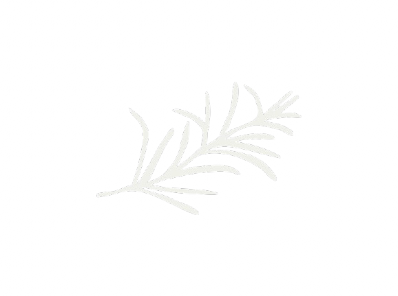 Logo Alicia de Castro